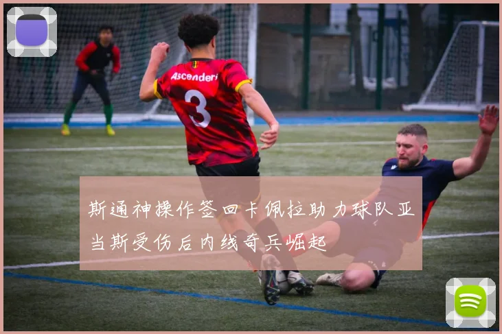 斯通神操作签回卡佩拉助力球队亚当斯受伤后内线奇兵崛起